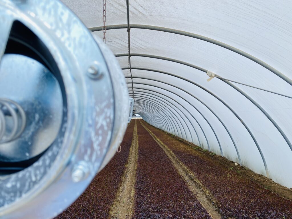 Serra con veduta particolare per irrigazione