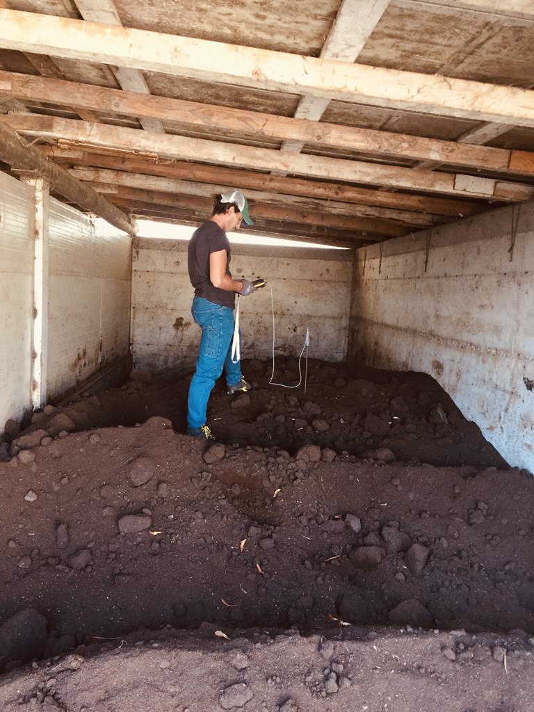tecnico in trincea di stoccaggio vermicompost letame