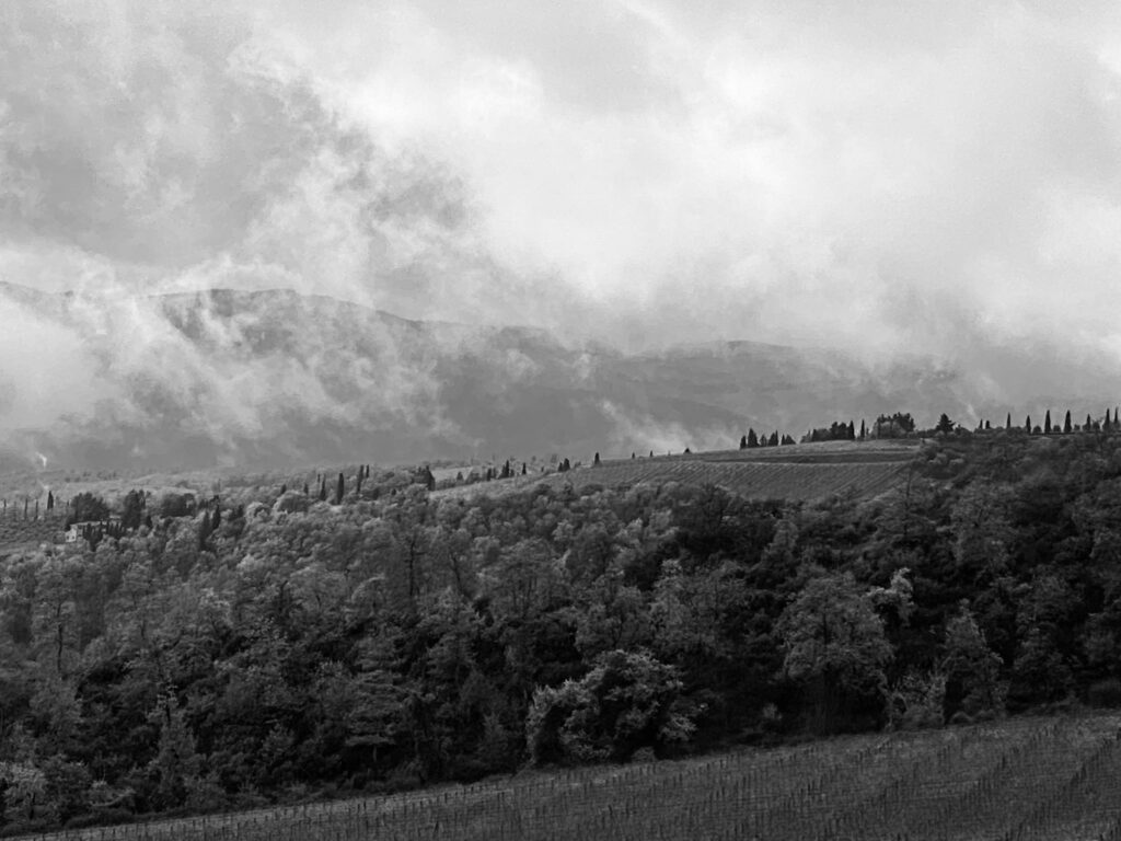 Colline Chianti