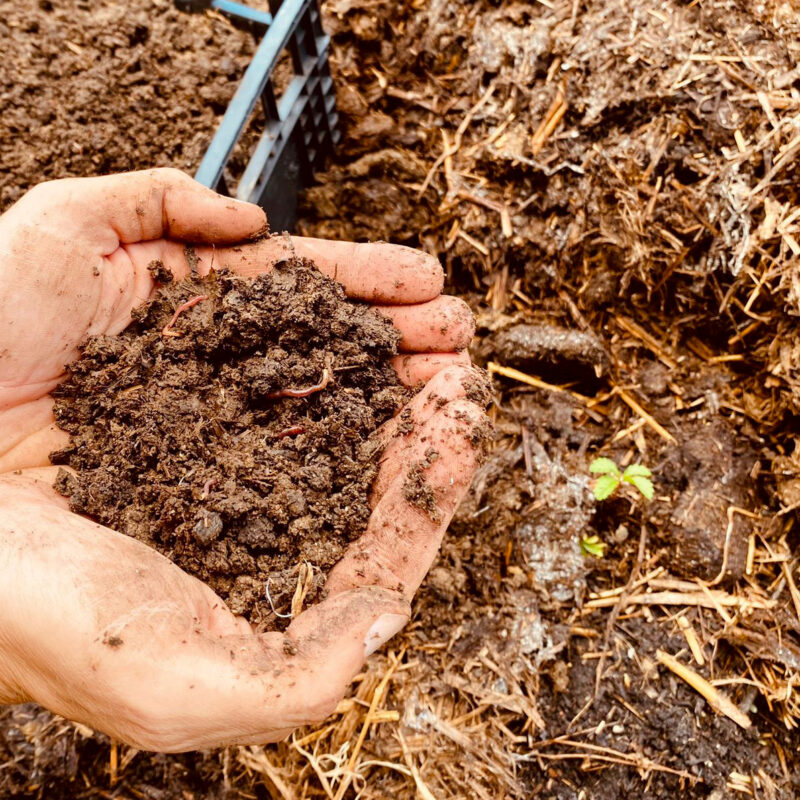 Il mercato del Vermicompost