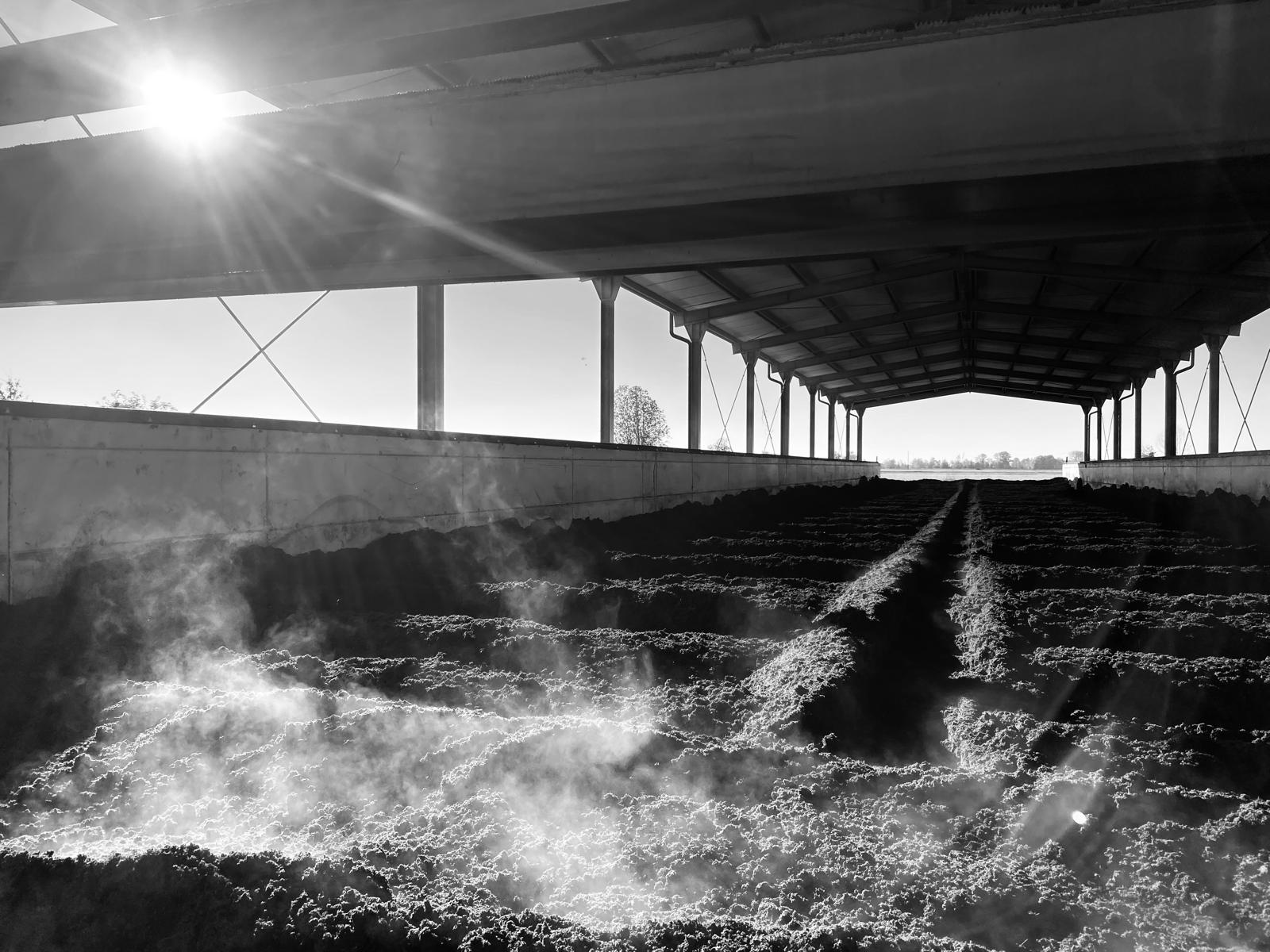 Al momento stai visualizzando Ammendanti organo-vegetali di alta qualità: soluzioni tecniche per la rigenerazione dei suoli agricoli con Organika